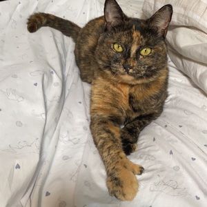 Meet your Posher, Erica